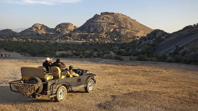 Jawai Leopard Safari