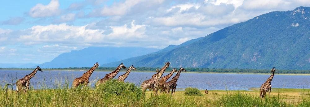 Lake Manyara National Park