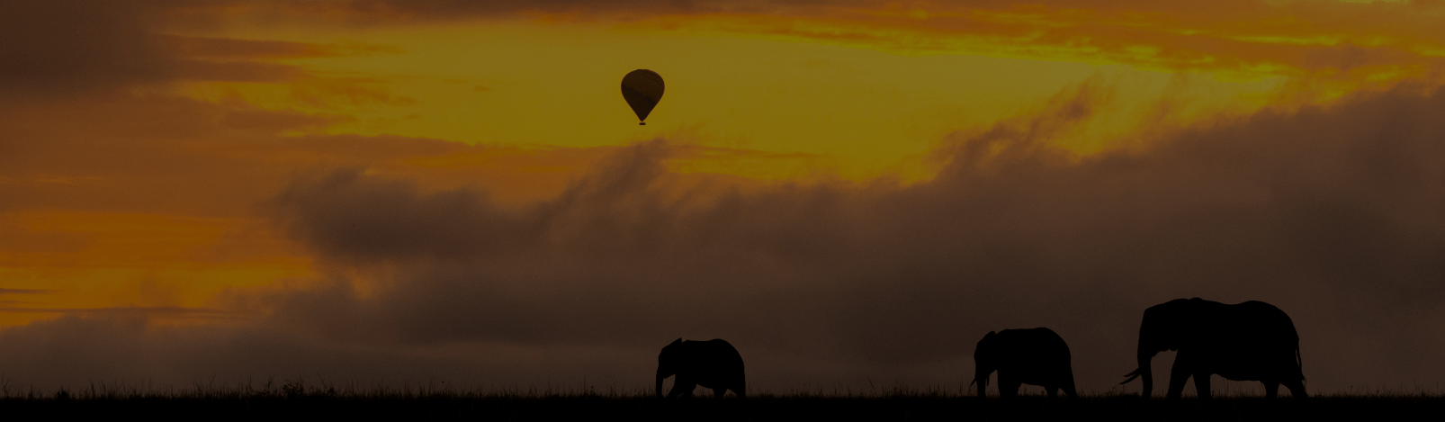 In pursuit of Himalayan Snow Leopard