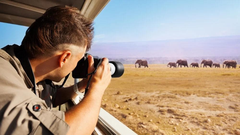 The Key to Success: Patience Pays Off