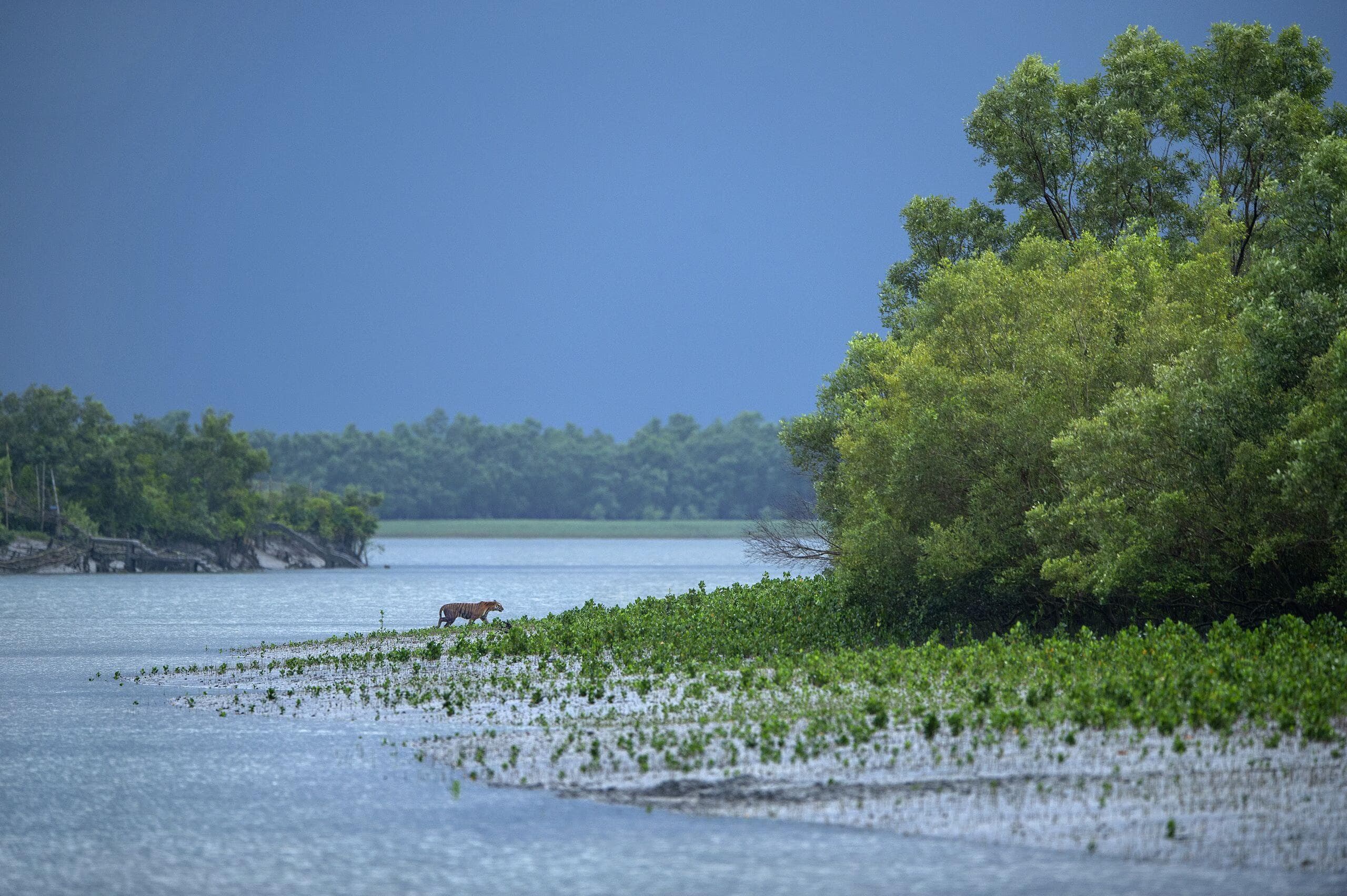Across The Blue