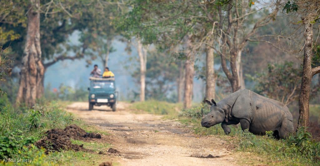 Ecotourism: Not stressing out nature while you de-stress