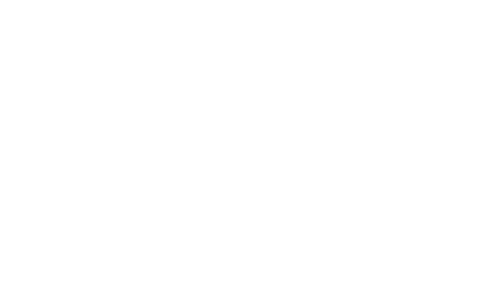 The Wild Terrain