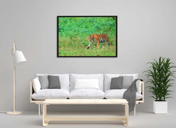 indian tiger frame